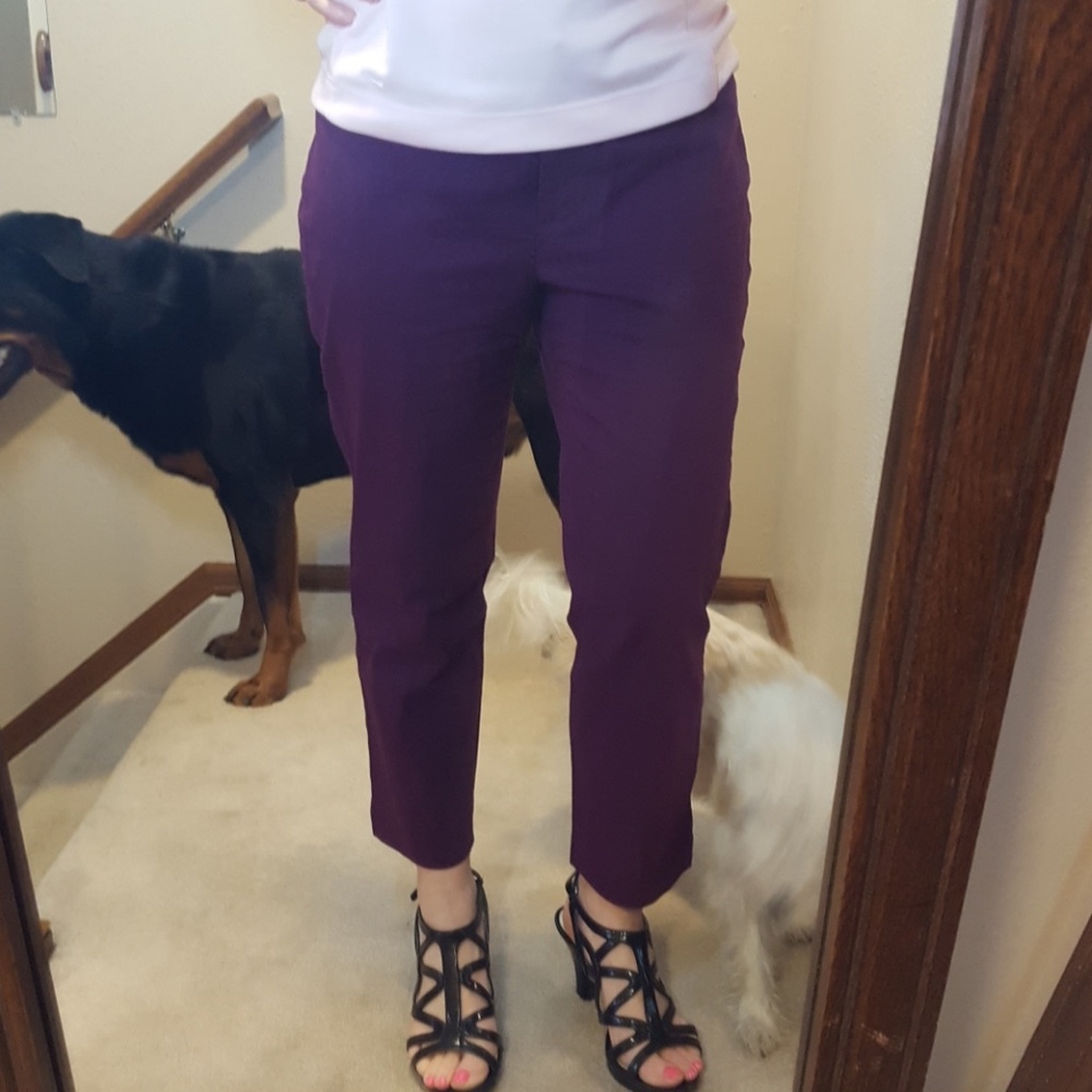 Ann Taylor Loft ankle pants